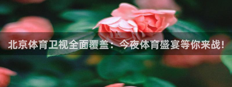 蓝鲸体育tv版下载：北京体育卫视全面覆盖：今夜体育盛宴等你来战!